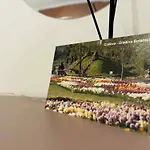 Oltenia Decebal 2