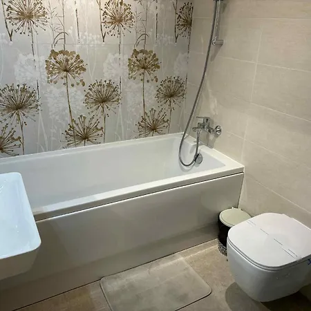 Lejlighed Oltenia Decebal 2 *