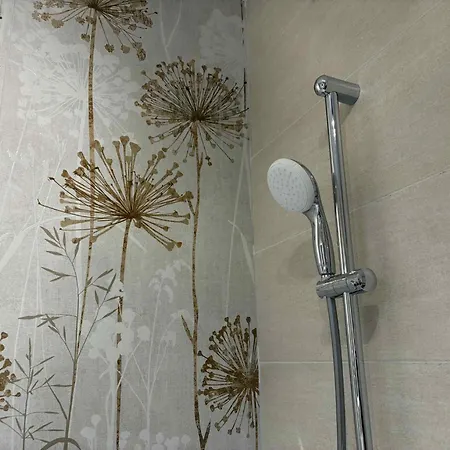 Oltenia Decebal 2 Craiova