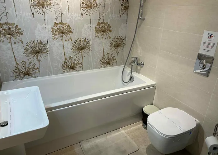 Apartment Oltenia Decebal 2 *