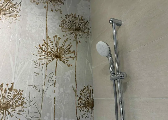 Oltenia Decebal 2 Craiova