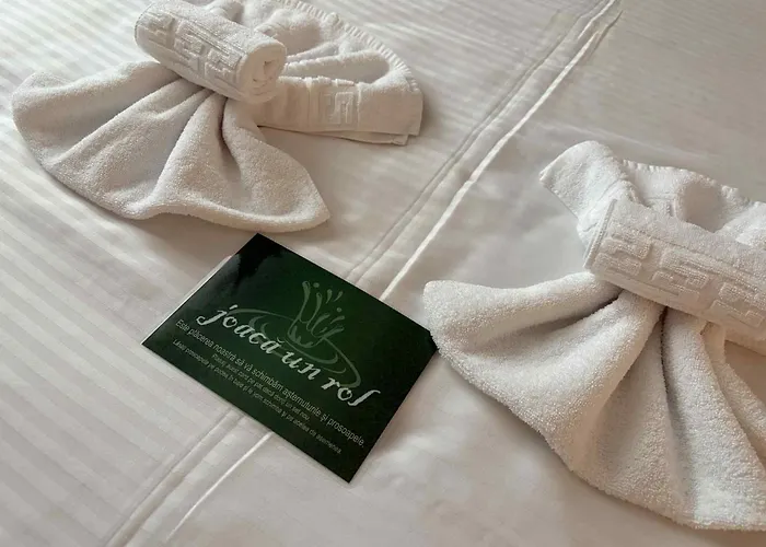 Oltenia Decebal 2 * Craiova